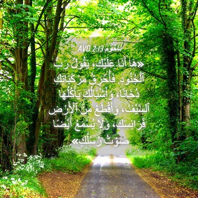 Picture 04 - نَاحُوم 2:13 AVD - «هَا أَنَا عَلَيْكِ، - Bible Verse Picture