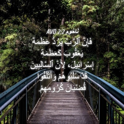 Picture 04 - نَاحُوم 2:2 AVD - فَإِنَّ ٱلرَّبَّ يَرُدُّ - Bible Verse Picture