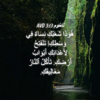 Picture 04 - نَاحُوم 3:13 AVD - هُوَذَا شَعْبُكِ نِسَاءٌ - Bible Verse Picture