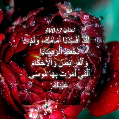 Picture 04 - نَحَمْيَا 1:7 AVD - لَقَدْ أَفْسَدْنَا - Bible Verse Picture