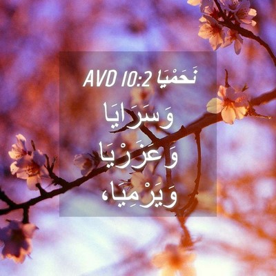 Picture 04 - نَحَمْيَا 10:2 AVD - وَسَرَايَا وَعَزَرْيَا - Bible Verse Picture
