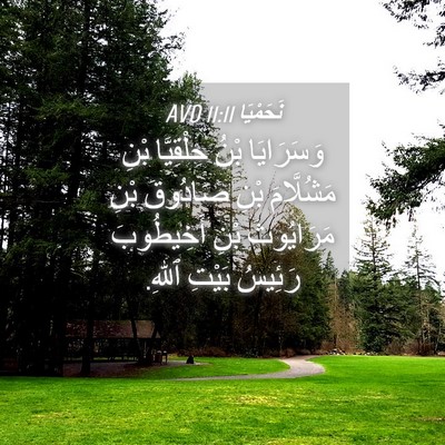 Picture 04 - نَحَمْيَا 11:11 AVD - وَسَرَايَا بْنُ - Bible Verse Picture