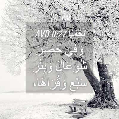 Picture 04 - نَحَمْيَا 11:27 AVD - وَفِي حَصَرَ شُوعَالَ - Bible Verse Picture