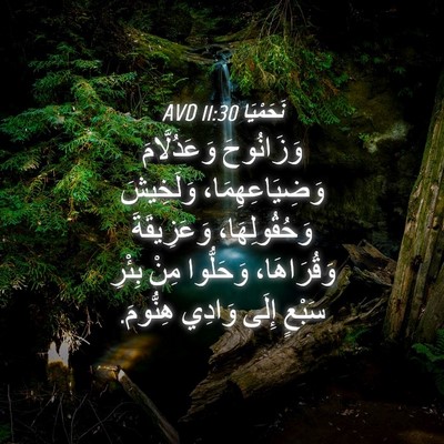 Picture 04 - نَحَمْيَا 11:30 AVD - وَزَانُوحَ وَعَدُلَّامَ - Bible Verse Picture