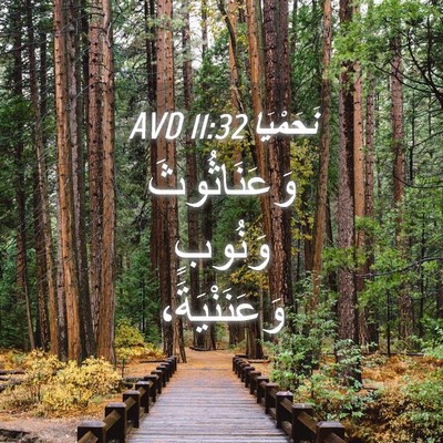 Picture 04 - نَحَمْيَا 11:32 AVD - وَعَنَاثُوثَ وَنُوبٍ - Bible Verse Picture
