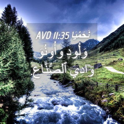Picture 04 - نَحَمْيَا 11:35 AVD - وَلُودٍ وَأُونُوَ وَادِي - Bible Verse Picture