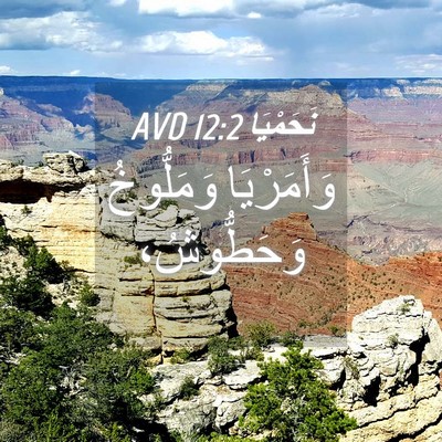 Picture 04 - نَحَمْيَا 12:2 AVD - وَأَمَرْيَا وَمَلُّوخُ - Bible Verse Picture