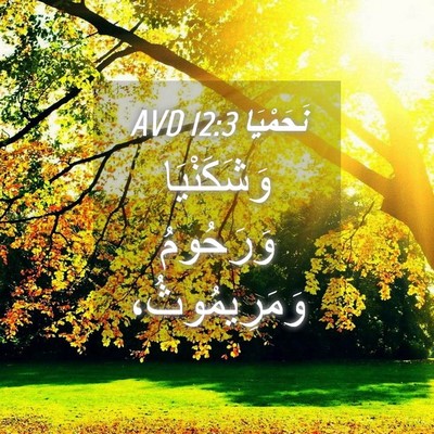 Picture 04 - نَحَمْيَا 12:3 AVD - وَشَكَنْيَا وَرَحُومُ - Bible Verse Picture