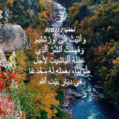Picture 04 - نَحَمْيَا 13:7 AVD - وَأَتَيْتُ إِلَى - Bible Verse Picture