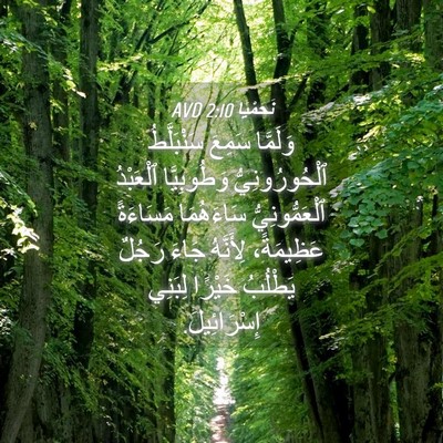 Picture 04 - نَحَمْيَا 2:10 AVD - وَلَمَّا سَمِعَ - Bible Verse Picture