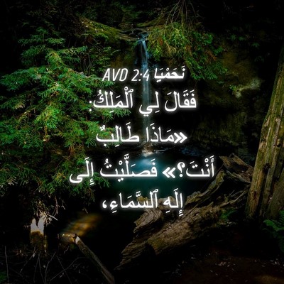 Picture 04 - نَحَمْيَا 2:4 AVD - فَقَالَ لِي ٱلْمَلِكُ: - Bible Verse Picture