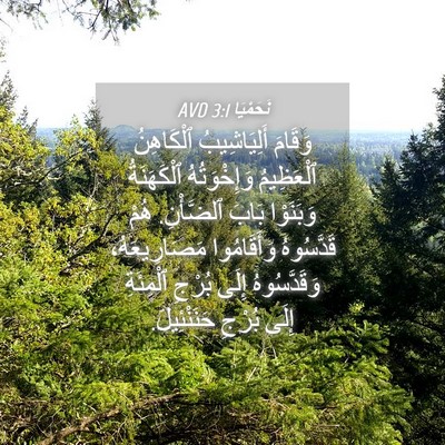 Picture 04 - نَحَمْيَا 3:1 AVD - وَقَامَ أَلِيَاشِيبُ - Bible Verse Picture
