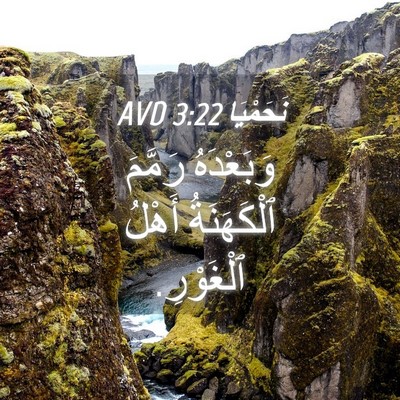 Picture 04 - نَحَمْيَا 3:22 AVD - وَبَعْدَهُ رَمَّمَ - Bible Verse Picture