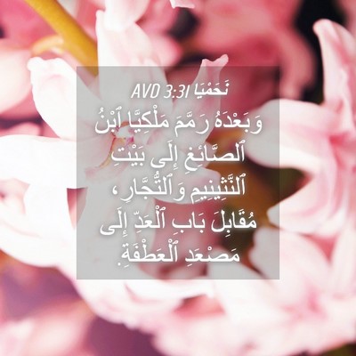Picture 04 - نَحَمْيَا 3:31 AVD - وَبَعْدَهُ رَمَّمَ - Bible Verse Picture