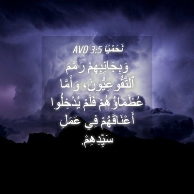 Picture 04 - نَحَمْيَا 3:5 AVD - وَبِجَانِبِهِمْ رَمَّمَ - Bible Verse Picture