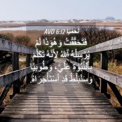 Picture 04 - نَحَمْيَا 6:12 AVD - فَتَحَقَّقْتُ وَهُوَذَا - Bible Verse Picture