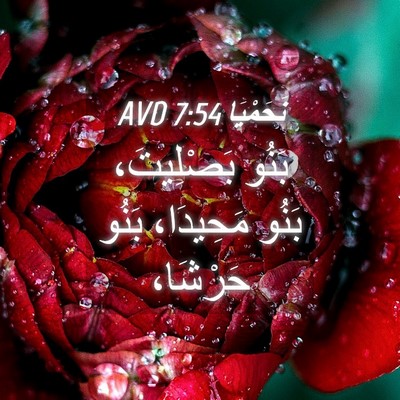 Picture 04 - نَحَمْيَا 7:54 AVD - بَنُو بَصْلِيتَ، بَنُو - Bible Verse Picture