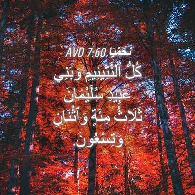 Picture 04 - نَحَمْيَا 7:60 AVD - كُلُّ ٱلنَّثِينِيمِ - Bible Verse Picture