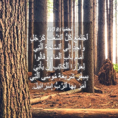 Picture 04 - نَحَمْيَا 8:1 AVD - ٱجْتَمَعَ كُلُّ ٱلشَّعْبِ - Bible Verse Picture