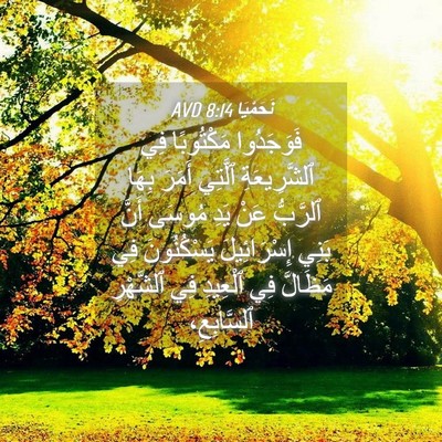 Picture 04 - نَحَمْيَا 8:14 AVD - فَوَجَدُوا مَكْتُوبًا فِي - Bible Verse Picture