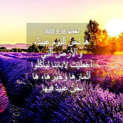 Picture 04 - نَحَمْيَا 9:36 AVD - هَا نَحْنُ ٱلْيَوْمَ - Bible Verse Picture