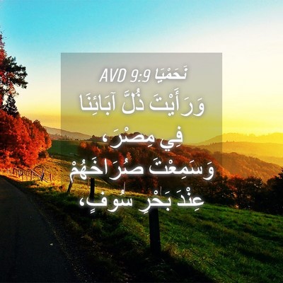 Picture 04 - نَحَمْيَا 9:9 AVD - وَرَأَيْتَ ذُلَّ - Bible Verse Picture