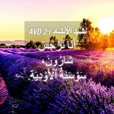 Picture 04 - نَشِيدُ ٱلْأَنْشَادِ 2:1 AVD - أَنَا نَرْجِسُ شَارُونَ، - Bible Verse Picture