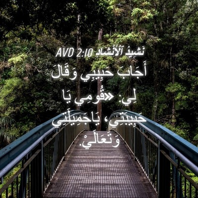 Picture 04 - نَشِيدُ ٱلْأَنْشَادِ 2:10 AVD - أَجَابَ حَبِيبِي وَقَالَ - Bible Verse Picture