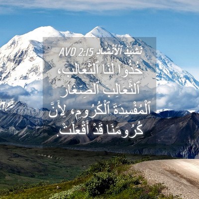 Picture 04 - نَشِيدُ ٱلْأَنْشَادِ 2:15 AVD - خُذُوا لَنَا - Bible Verse Picture