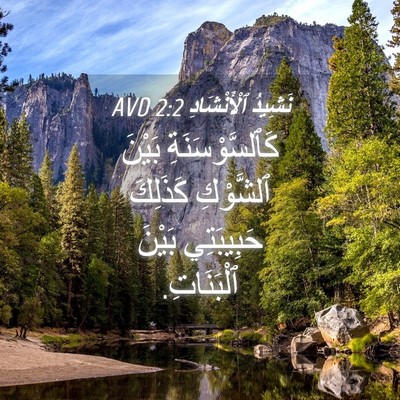 Picture 04 - نَشِيدُ ٱلْأَنْشَادِ 2:2 AVD - كَٱلسَّوْسَنَةِ بَيْنَ - Bible Verse Picture