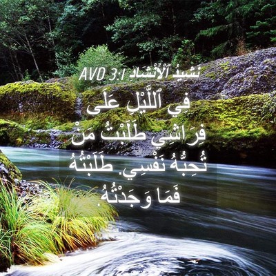 Picture 04 - نَشِيدُ ٱلْأَنْشَادِ 3:1 AVD - فِي ٱللَّيْلِ عَلَى - Bible Verse Picture