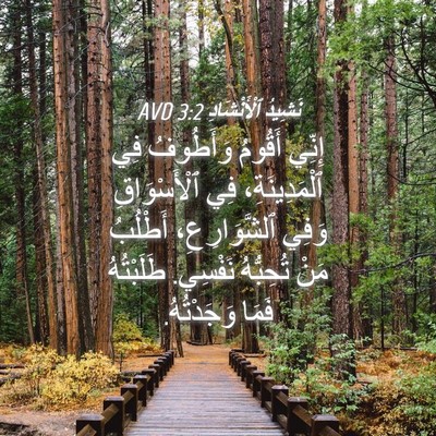 Picture 04 - نَشِيدُ ٱلْأَنْشَادِ 3:2 AVD - إِنِّي أَقُومُ وَأَطُوفُ - Bible Verse Picture