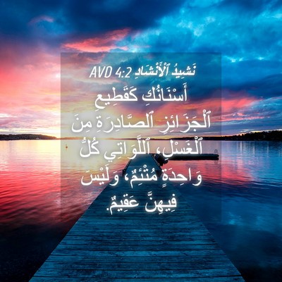 Picture 04 - نَشِيدُ ٱلْأَنْشَادِ 4:2 AVD - أَسْنَانُكِ كَقَطِيعِ - Bible Verse Picture