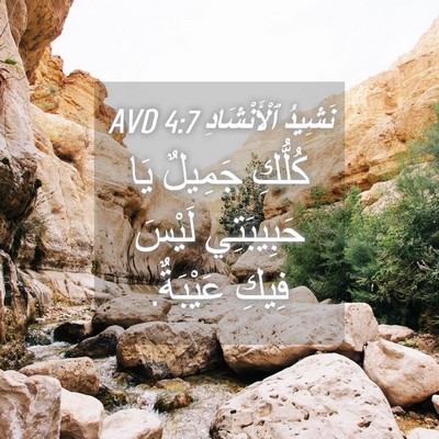 Picture 04 - نَشِيدُ ٱلْأَنْشَادِ 4:7 AVD - كُلُّكِ جَمِيلٌ يَا - Bible Verse Picture