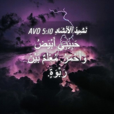 Picture 04 - نَشِيدُ ٱلْأَنْشَادِ 5:10 AVD - حَبِيبِي أَبْيَضُ - Bible Verse Picture