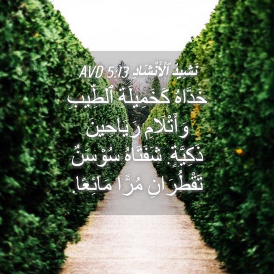 Picture 04 - نَشِيدُ ٱلْأَنْشَادِ 5:13 AVD - خَدَّاهُ كَخَمِيلَةِ - Bible Verse Picture