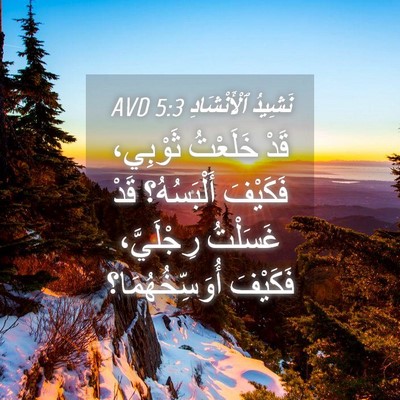 Picture 04 - نَشِيدُ ٱلْأَنْشَادِ 5:3 AVD - قَدْ خَلَعْتُ ثَوْبِي، - Bible Verse Picture