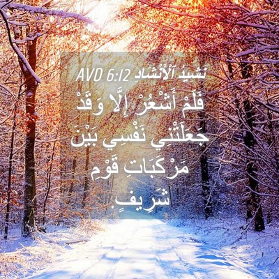 Picture 04 - نَشِيدُ ٱلْأَنْشَادِ 6:12 AVD - فَلَمْ أَشْعُرْ إِلَّا - Bible Verse Picture
