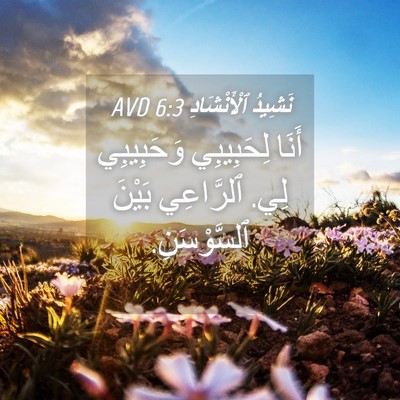 Picture 04 - نَشِيدُ ٱلْأَنْشَادِ 6:3 AVD - أَنَا لِحَبِيبِي - Bible Verse Picture