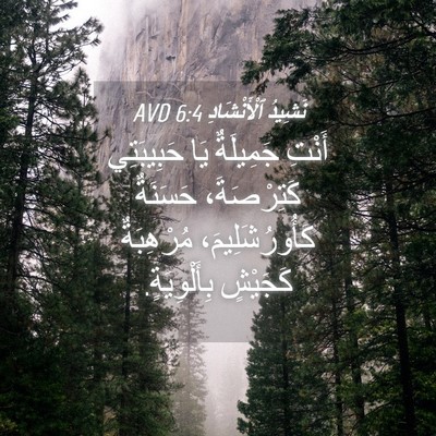 Picture 04 - نَشِيدُ ٱلْأَنْشَادِ 6:4 AVD - أَنْتِ جَمِيلَةٌ يَا - Bible Verse Picture