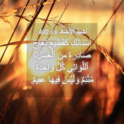 Picture 04 - نَشِيدُ ٱلْأَنْشَادِ 6:6 AVD - أَسْنَانُكِ كَقَطِيعِ - Bible Verse Picture