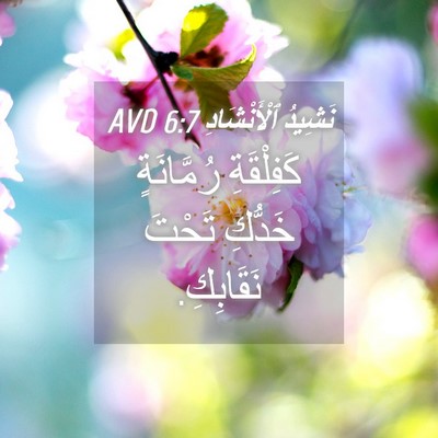 Picture 04 - نَشِيدُ ٱلْأَنْشَادِ 6:7 AVD - كَفِلْقَةِ رُمَّانَةٍ - Bible Verse Picture