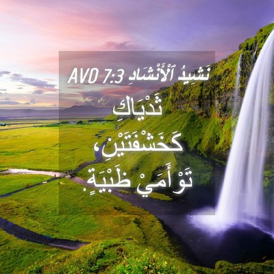 Picture 04 - نَشِيدُ ٱلْأَنْشَادِ 7:3 AVD - ثَدْيَاكِ كَخَشْفَتَيْنِ، - Bible Verse Picture
