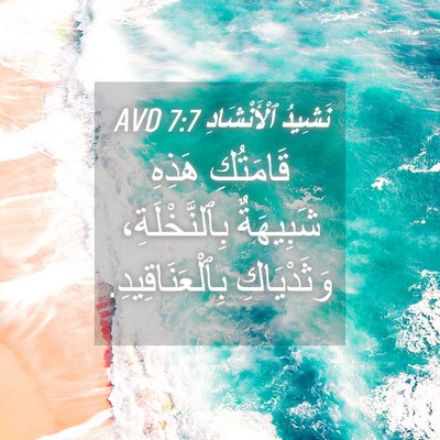 Picture 04 - نَشِيدُ ٱلْأَنْشَادِ 7:7 AVD - قَامَتُكِ هَذِهِ - Bible Verse Picture