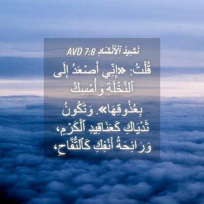 Picture 04 - نَشِيدُ ٱلْأَنْشَادِ 7:8 AVD - قُلْتُ: «إِنِّي أَصْعَدُ - Bible Verse Picture