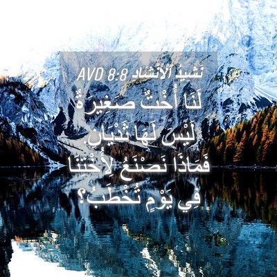 Picture 04 - نَشِيدُ ٱلْأَنْشَادِ 8:8 AVD - لَنَا أُخْتٌ صَغِيرَةٌ - Bible Verse Picture