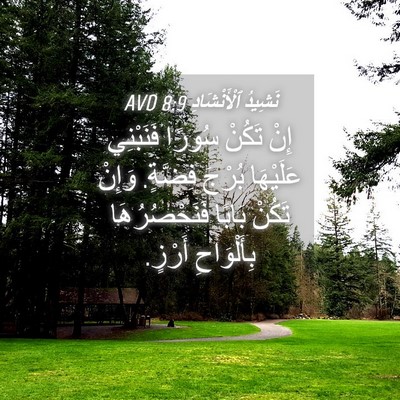 Picture 04 - نَشِيدُ ٱلْأَنْشَادِ 8:9 AVD - إِنْ تَكُنْ سُورًا - Bible Verse Picture