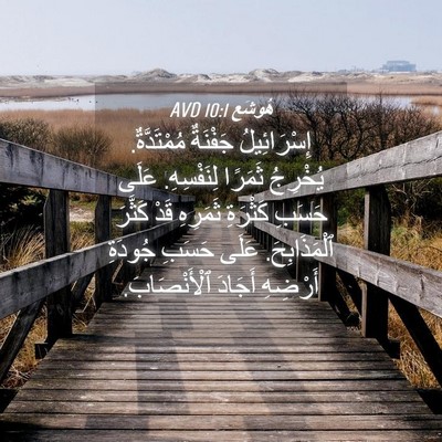 Picture 04 - هُوشَع 10:1 AVD - إِسْرَائِيلُ جَفْنَةٌ - Bible Verse Picture