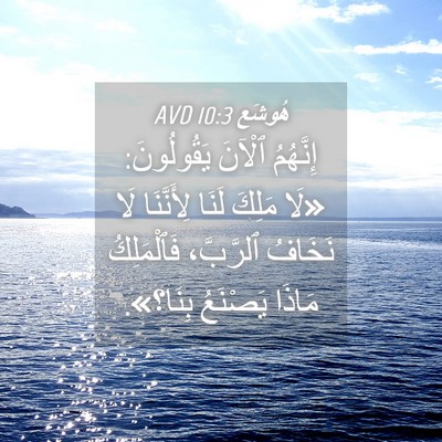 Picture 04 - هُوشَع 10:3 AVD - إِنَّهُمُ ٱلْآنَ - Bible Verse Picture