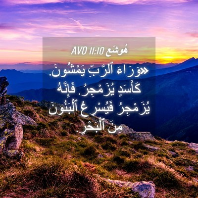 Picture 04 - هُوشَع 11:10 AVD - «وَرَاءَ ٱلرَّبِّ - Bible Verse Picture